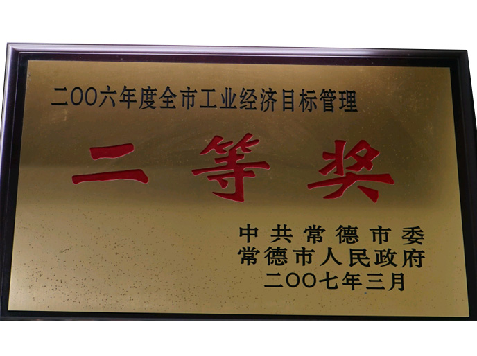 2006年度全市工业经济目标管理二等奖